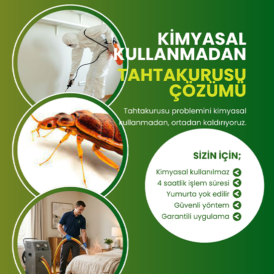 Başlıksız-1